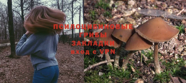 прущий лед Арсеньев