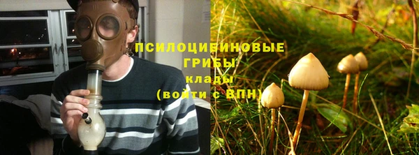прущий лед Арсеньев