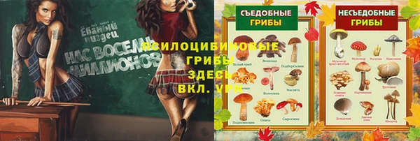 амф Армянск